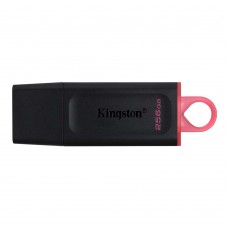 Kingston DataTraveler Exodia 256GB USB 3.2 Gen 1 (DTX/256GB) (KINDTX/256GB)